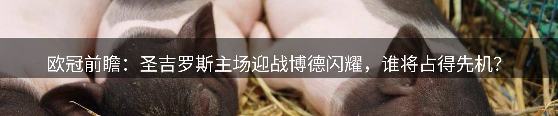 资讯中心